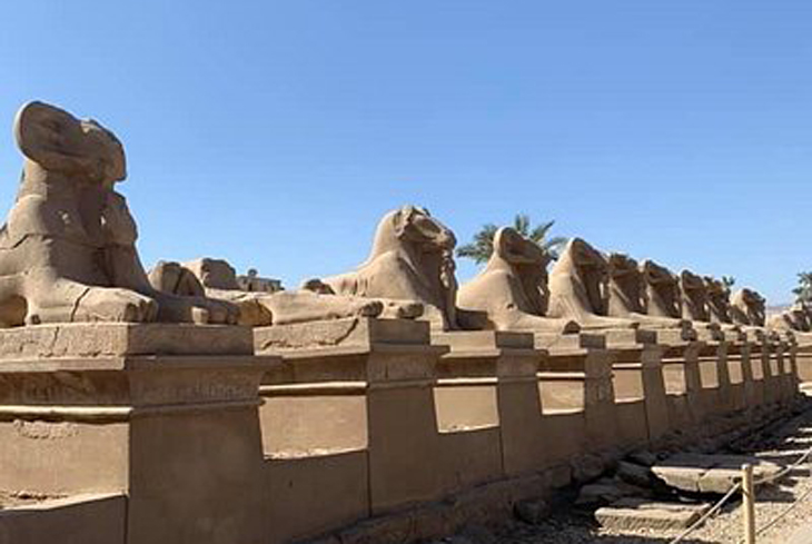 Luxor Sphinx Alley_31bf8_lg.jpg